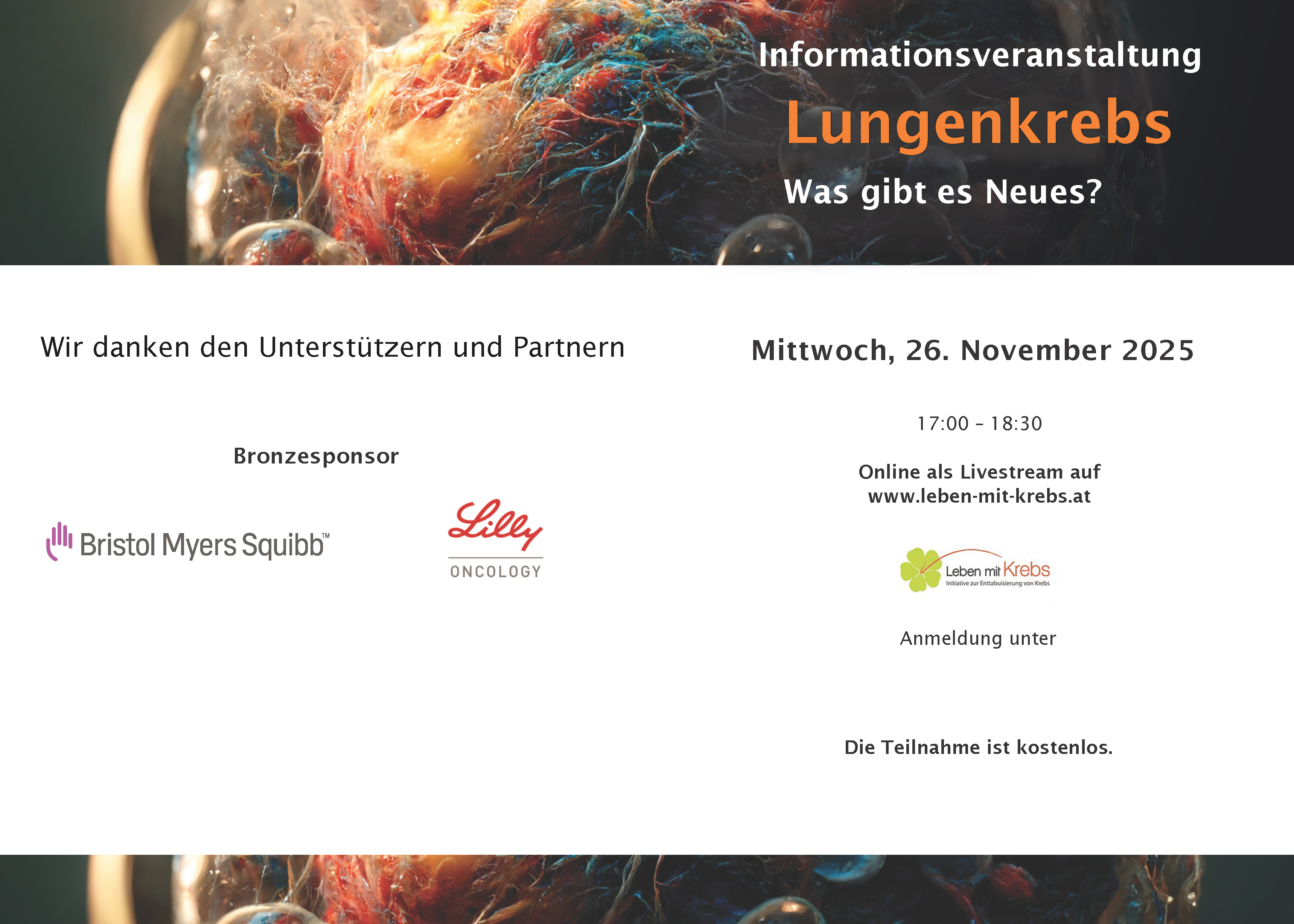 programm lmk lungenkrebs nov 26_seite_1.png